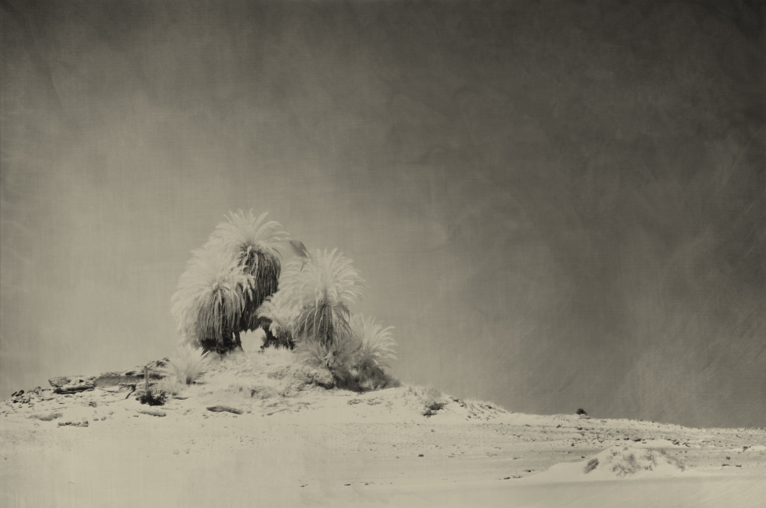 27º 23' 6.52" N  28º 26' 4.94" E